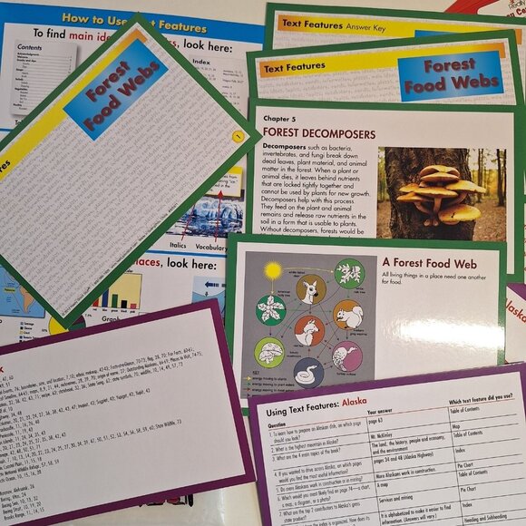 Level 2 Literacy Center In A Bag Lot Grade 3-5 Text Features & Main Idea Details - Picture 2 of 8